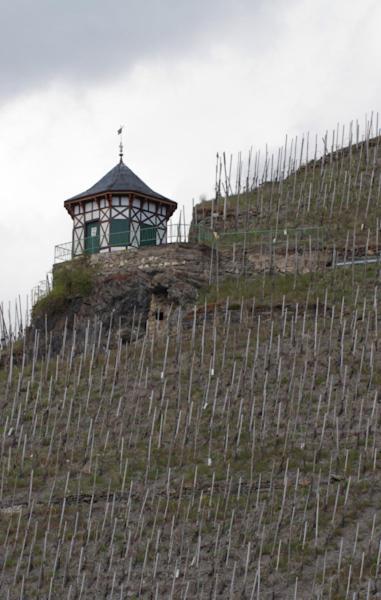 Weingut & Gaestehaus Schmitz-Bergweiler ベルンカステル・クース エクステリア 写真
